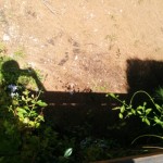 wpid-img_2014090150726.jpg