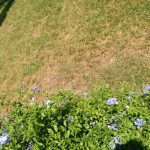 wpid-img_2014090157235.jpg