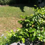 wpid-img_2014090158296.jpg