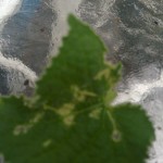 wpid-img_2014090728239.jpg