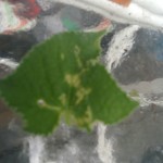 wpid-img_201409072961.jpg