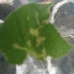 wpid-img_2014090730204.jpg