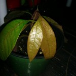 wpid-img_201409102692.jpg