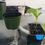 wpid-wp-1409569418792.jpeg