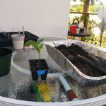 wpid-wp-1409569453990.jpeg