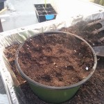 wpid-wp-1409569526380.jpeg
