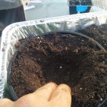 wpid-wp-1409569567098.jpeg