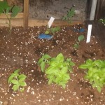 wpid-wp-1410912283371.jpeg