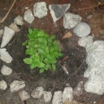 wpid-wp-1410912283391.jpeg
